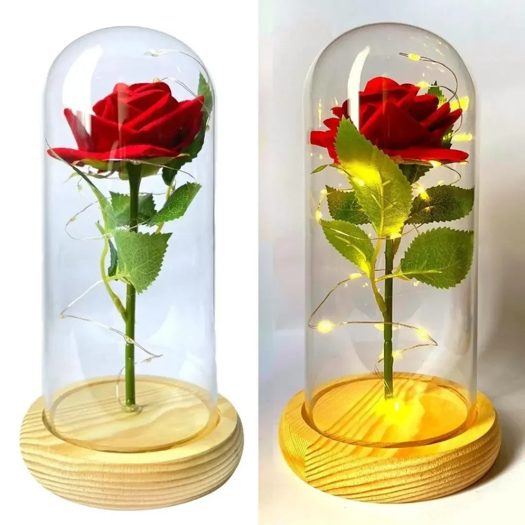 Rosa Encantada Iluminada com Cúpula