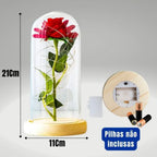 Rosa Encantada Iluminada com Cúpula
