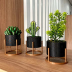 Trio de Vasos Cachepot com Suporte Para Cactos ou Suculentas