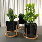 Trio de Vasos Cachepot com Suporte Para Cactos ou Suculentas